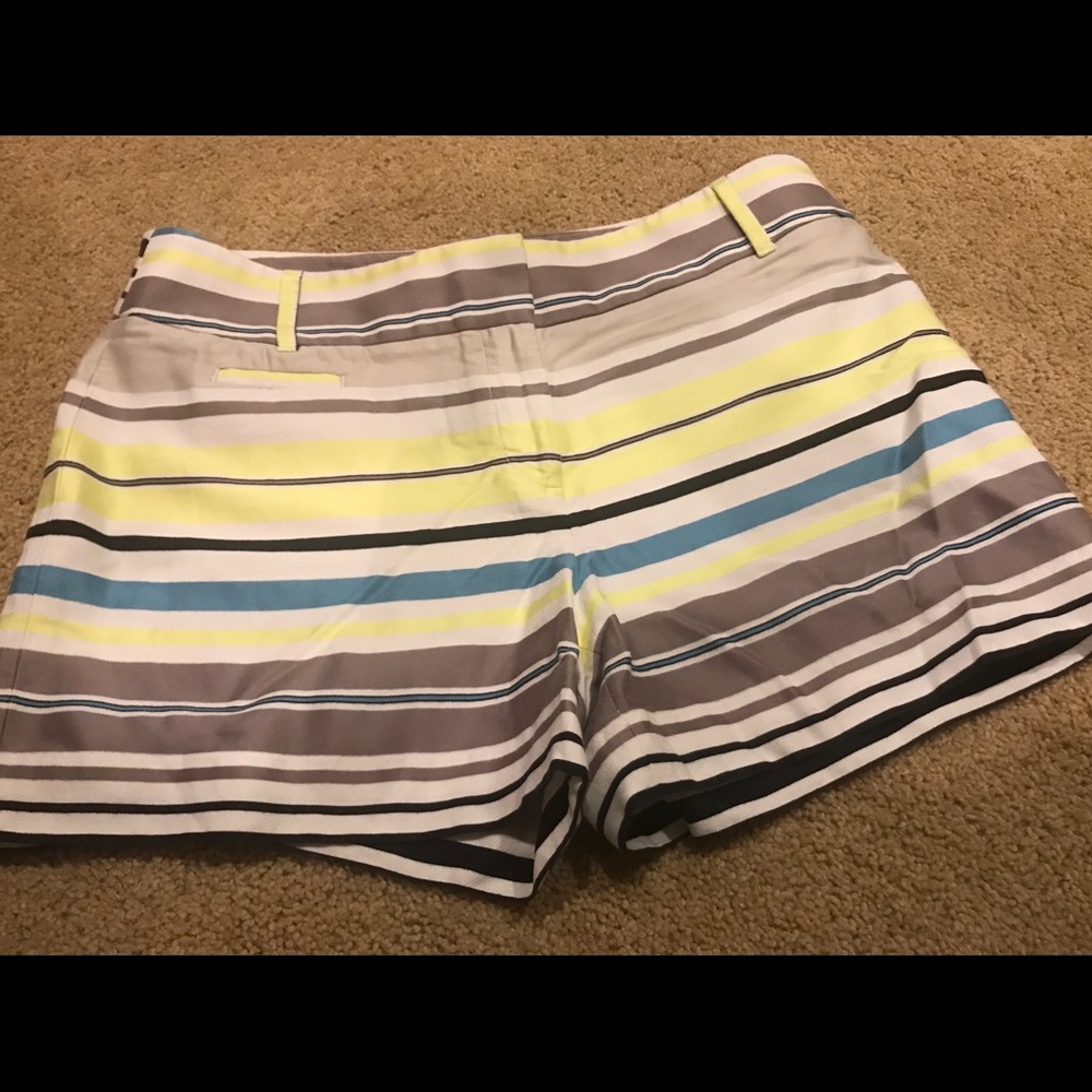Loft Shorts